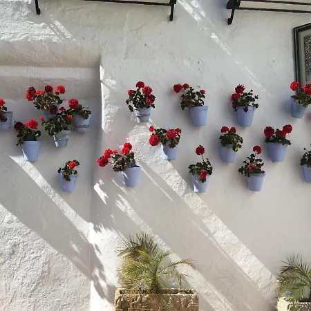 Erisa Ib Carihuela - Apartamento *