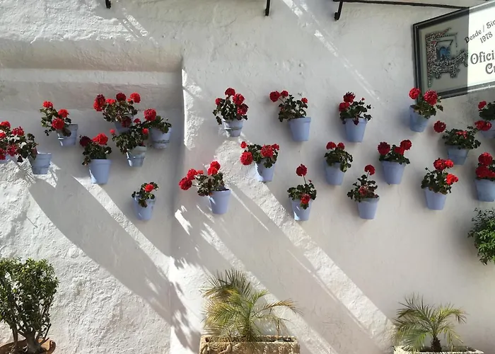 Erisa Ib Carihuela - Apartamento *