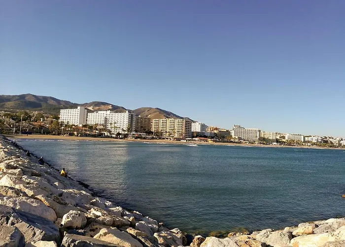 Erisa Ib Carihuela - *